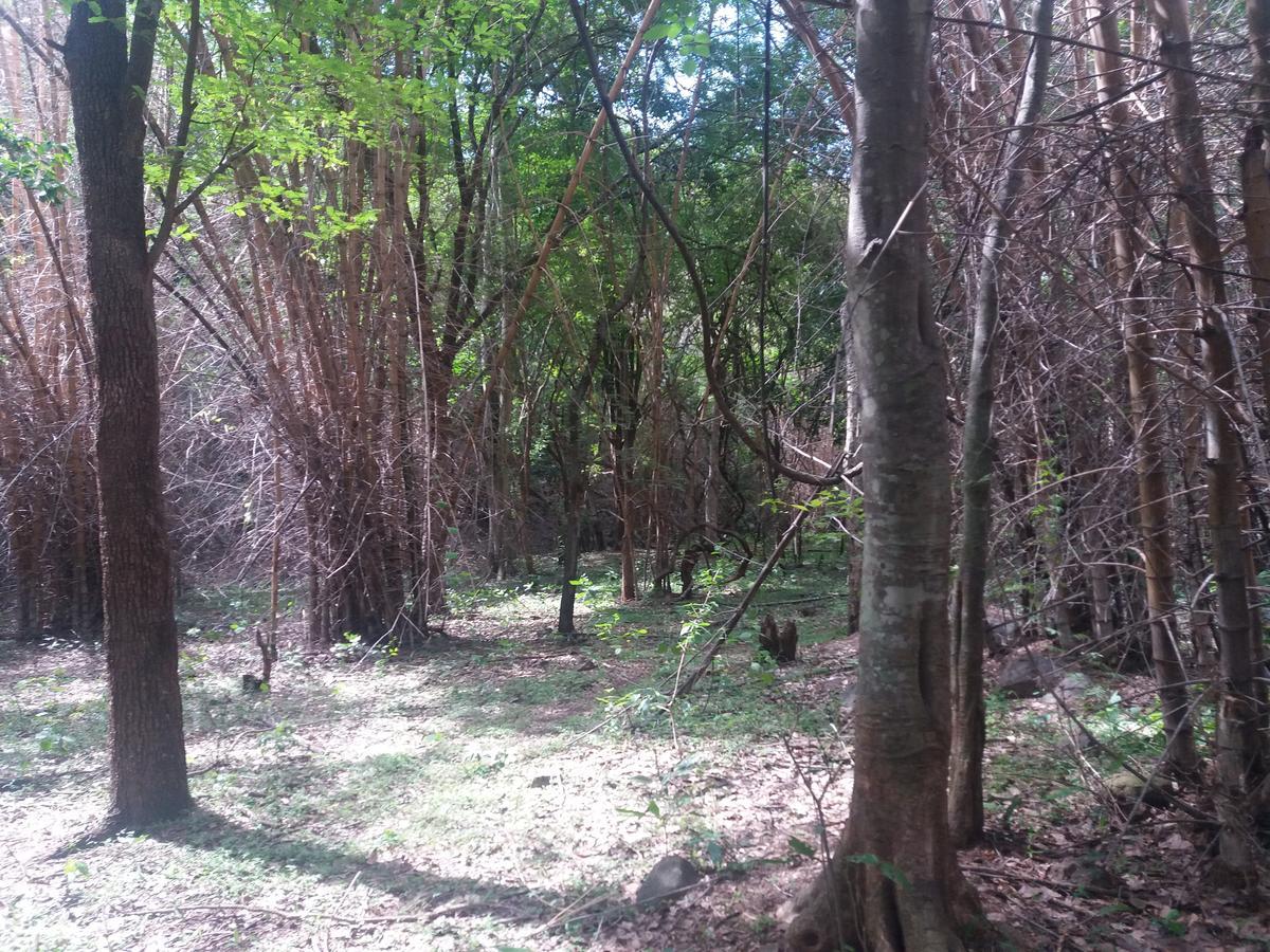Holiyday In Vgf Farm House Dānishpet المظهر الخارجي الصورة